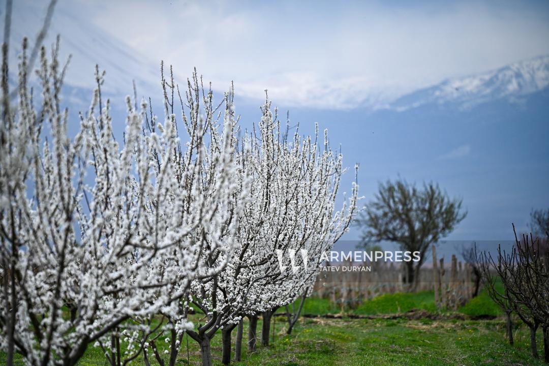 Մարտը վերադառնո՞ւմ է. առաջիկա օրերին սպասվող եղանակը