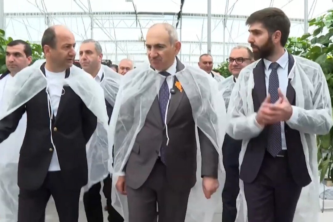 Նոր Գեղիում «Նուվո վիլաժ» ընկերությունը Կառավարության աջակցությամբ հիմնել է 5,2 հա պղպեղի ջերմատուն