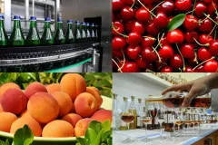 ՌԴ գյուղնախարարությունը ներկայացրել է Հայաստանից գյուղմթերքի ներմուծումը վերականգնելու պայմանները