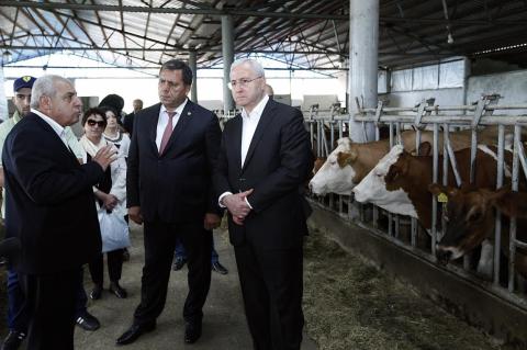 Armenia’s Agriculture Minister pays working visit to Tavush Province