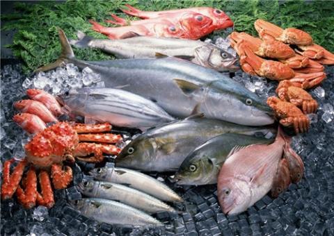 Иран готов поставлять в Россию до 100 тысяч тонн морепродуктов