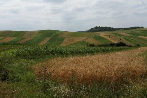1,5 thousand hectares of degraded lands to be given new life