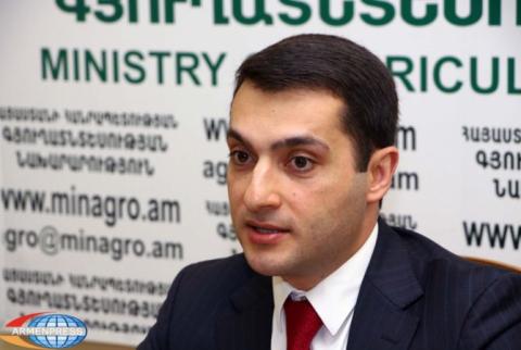 Ministry attaches importance to involvement of technologies, knowledge and experience in agricultural sector