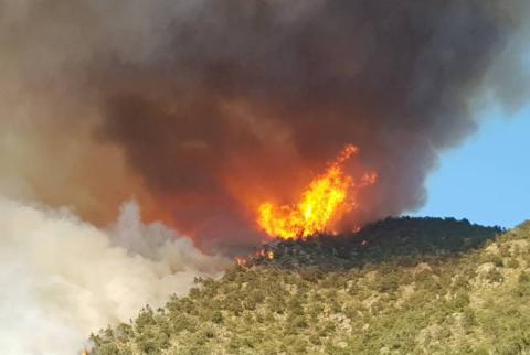 Սյունիքում բռնկված հրդեհի մարման աշխատանքներում ներգրավված են ուժային կառույցների ներկայացուցիչներ