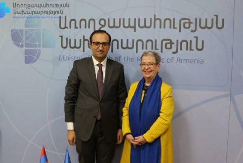 Armenian healthcare minister, EU Ambassador discuss situation caused by Covid-19
