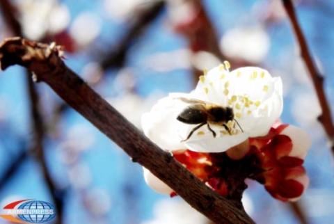 Температура воздуха на всей территории республики повысится на 8-10 градусов