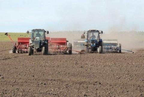 Ճամբարակում կատարվել է 200 հեկտար աշնանացան