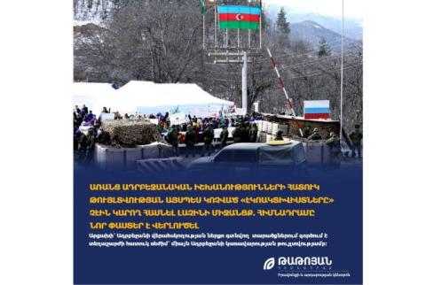 'Eco-activists' could not have reached Lachin Corridor without permission of Azeri government - Tatoyan Foundation