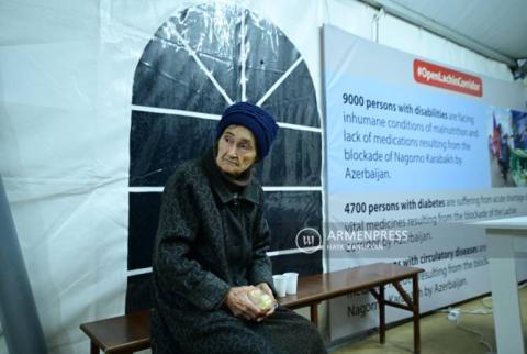 2024 budget to envisage preliminary 10 billion drams for forcibly displaced persons from NK