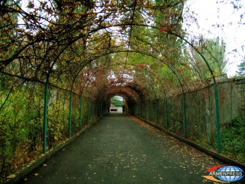 2000֊ից ավելի բուսատեսակ, շուրջ 100 000 այցելու. Բուսաբանական այգու ծրագրերը