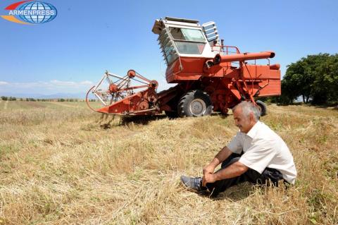 Ազատամարտիկ ֆերմերը