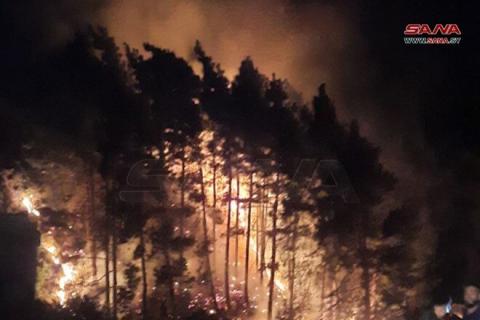 Սիրիայում հայտնել են, որ իսրայելական հարվածների զոհերի թիվը հասել է 14-ի