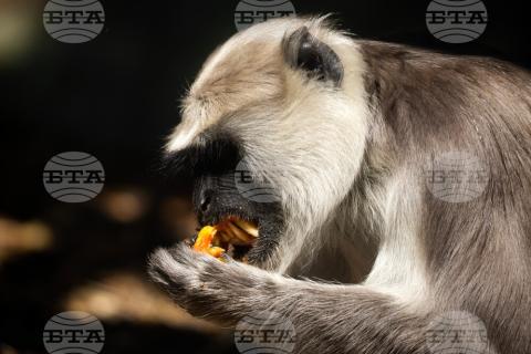 BTA. Sofia Zoo to Conduct Stress Test as Preparation for Membership in European Association of Zoos and Aquariums