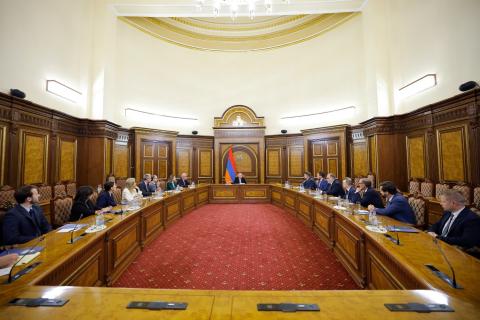 Le Premier ministre Pashinyan a reçu les Représentants de l'organisation « Save Armenia »