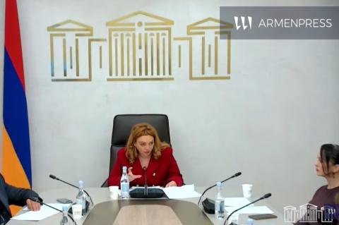სომხეთის რესპუბლიკის ეროვნული ასამბლეის ჯანდაცვის საკითხთა მუდმივმოქმედი კომისიის სხდომა