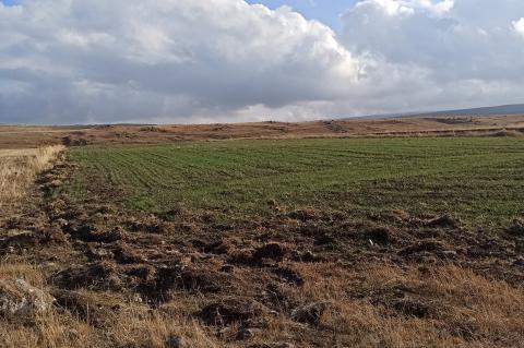 Գեղարքունիքի մարզում կատարվել է 13 հազար 365,2 հեկտար աշնանացան