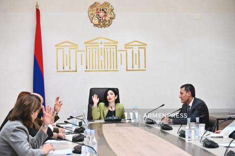 جلسهٔ کمیسیون دائمی امور علم، آموزش، فرهنگ، دیاسپورا، جوانان و ورزش