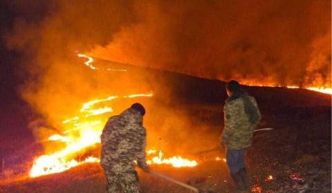 Пожар, вспыхнувший в Дилижанском национальном парке, многоочаговый - Гарник Даниелян рассказал подробности