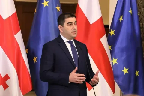 Спикер парламента Грузии назвал статью BBC гибридной войной против Тбилиси