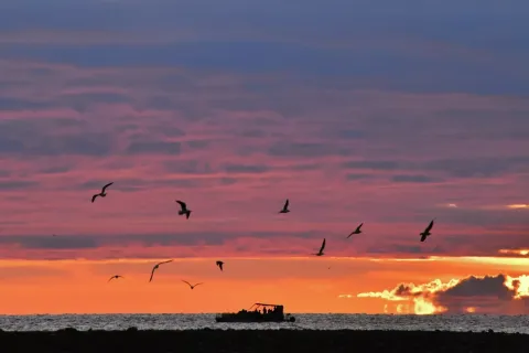 Ռուսաստանում հաստատել են, որ Թուրքիայի ափերի մոտ ռուսական նավը ենթարկվել է ԱԹՍ-ի հարձակման