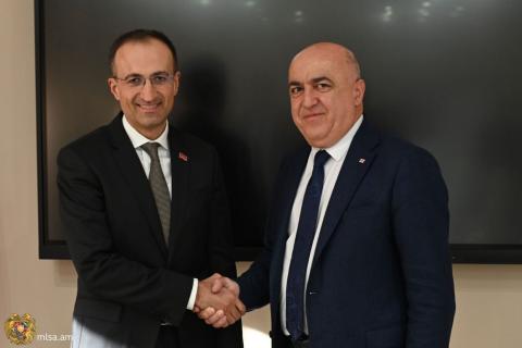 وزیر کار و امور اجتماعی جمهوری ارمنستان در تفلیس با رئیس کمیسیون بهداشت پارلمان گرجستان دیدار کرد