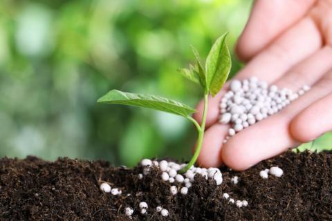 ԵԱՏՀ-ն երկու տարով զրոյացրել է պարարտանյութերի արտադրության համար ֆոսֆատների ներմուծման մաքսատուրքերը