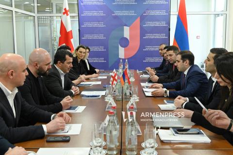 სომხეთის სშკ-ის თავმჯდომარემ და საქართველოს შემოსავლების სამსახურის უფროსმა სამუშაო შეხვედრა გამართეს