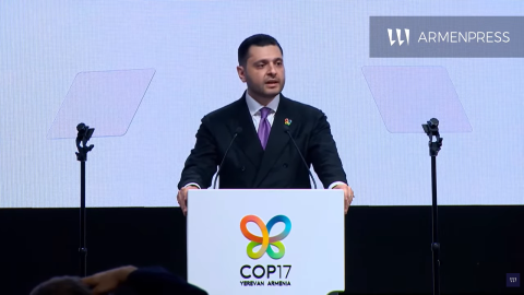COP17. Ermenistan Çevre Bakanı'nın Liderler Zirvesi'ndeki konuşması