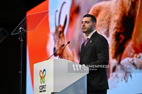 COP17: Ermenistan Çevre Bakanı Hambardzum Matevosyan'ın Liderler Zirvesi'ndeki konuşmasından fotoğraflar