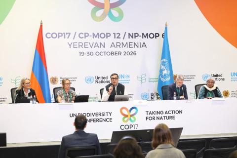 Всемирный фонд природы (WWF) ожидает от COP17 увеличения финансирования и конкретных действий по сохранению биоразнообразия