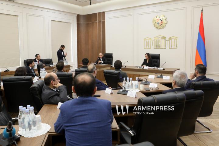 ეროვნული ასამბლეის მუდმივმოქმედი კომისიების ერთობლივი სხდომის გახსნა