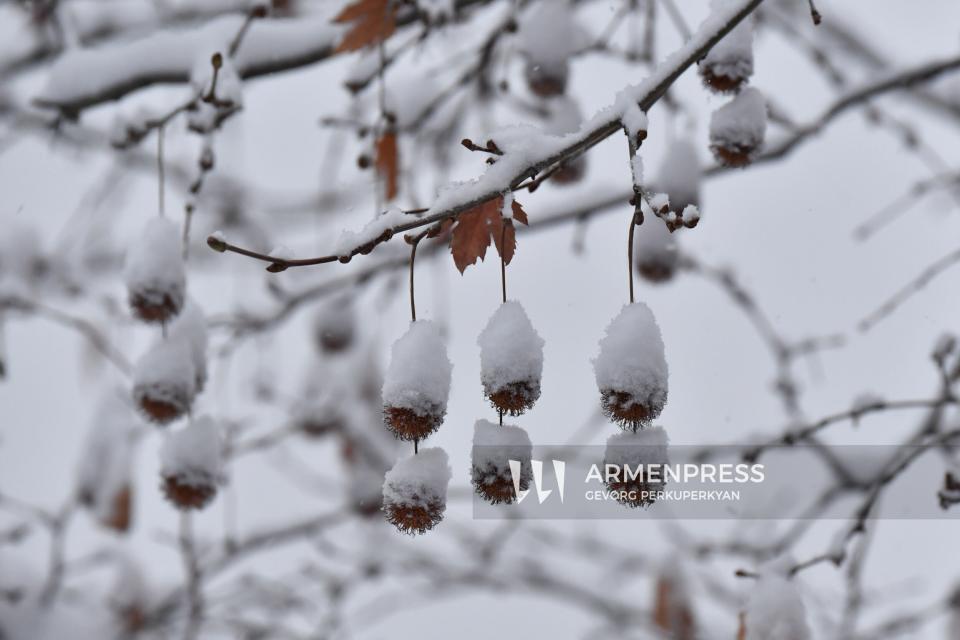 Մթնոլորտային ցուրտ ճակատը երեկոյան կներխուժի Հայաստան. Սուրենյանը ներկայացրել է սպասվող եղանակը