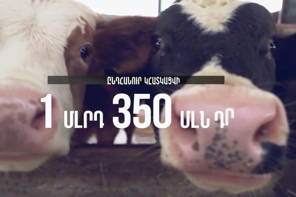 Մոտ 20 հազար ֆերմեր այս տարի ավելի շատ եկամուտ կստանա. Կառավարության աջակցությունը՝ ֆերմերներին