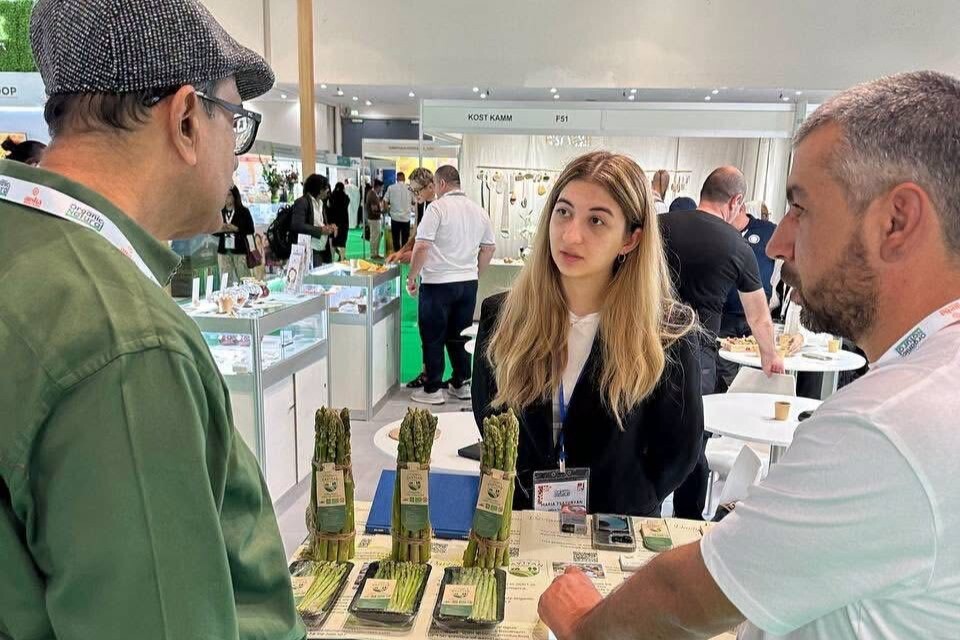 Հայկական ծնեբեկի առաջին խմբաքանակն արտահանվել է Սինգապուր, իրականացվել է նաև ծիրանի փորձնական արտահանում