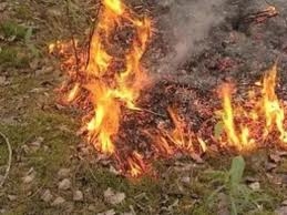 Քանաքեռավան - Մրգաշեն հատվածում խաղողի այգի է այրվել 