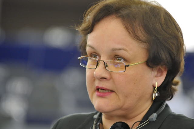 MEP Laima Andrikiene expects the decision on free trade agreement to be reached till 
November  