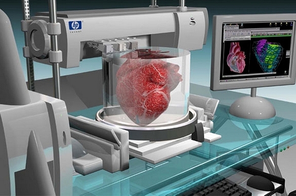Сердце человека будут печатать на 3D-принтере