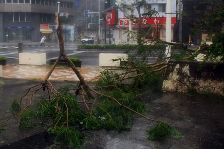 На юге Японии 40 человек пострадали из-за тайфуна "Неогури"