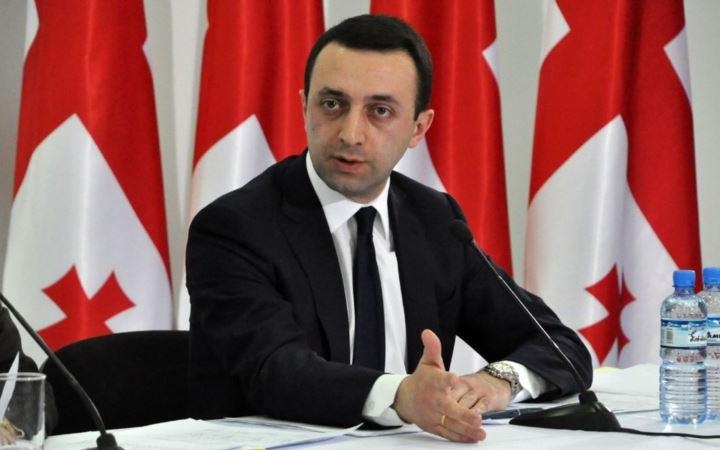 Гарибашвили: Правительство Грузии приветствует объективное расследование 