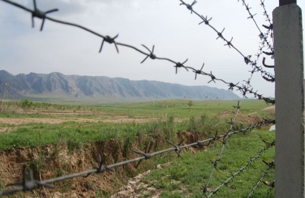 Жители села Арарат поймали нарушителя границы