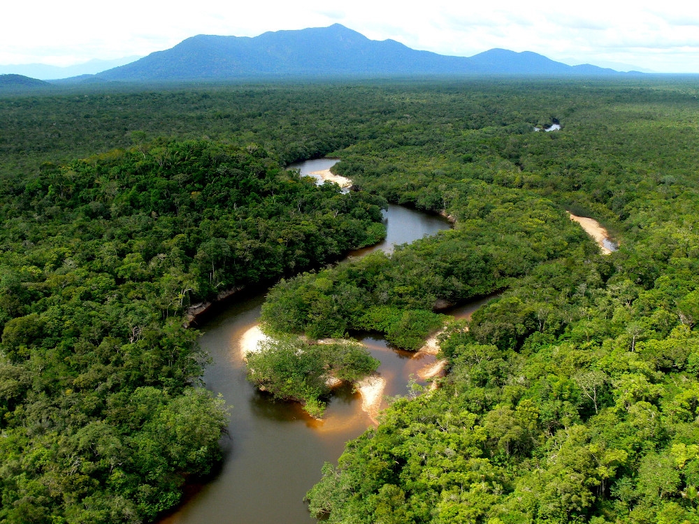 Amazon forest destruction rises again