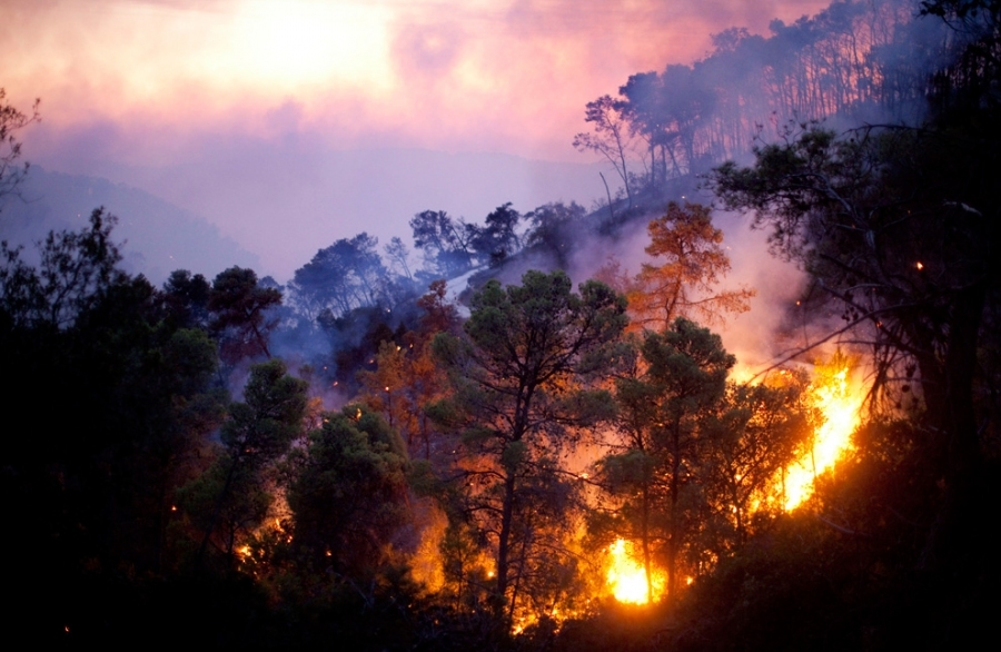 Կալիֆոռնիայում հազարավոր մարդիկ են տարհանվել անտառային հրդեհի պատճառով