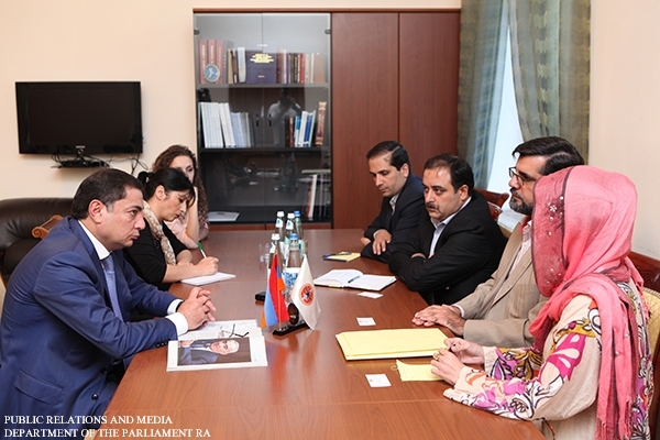 Встреча в НС с председателем «Союза дружбы Иран-Армения»