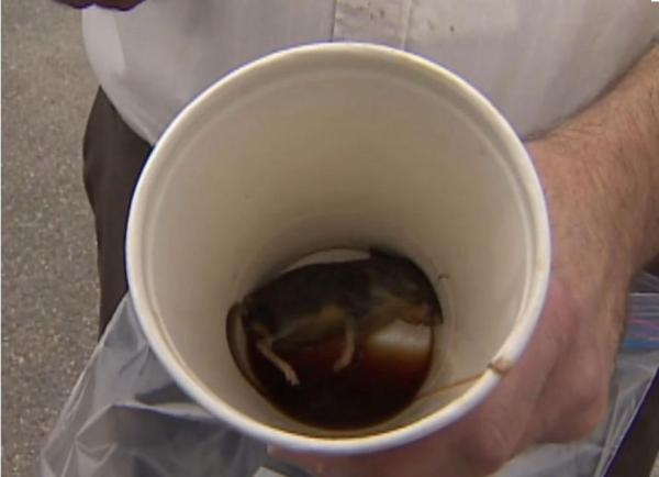 Canadian man 'finds dead mouse in McDonald's cup of coffee'