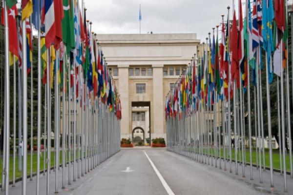 В День ООН организация пытается решить множество проблем