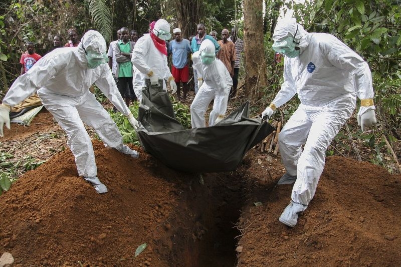 Количество жертв вируса Эбола превысило 5600 человек