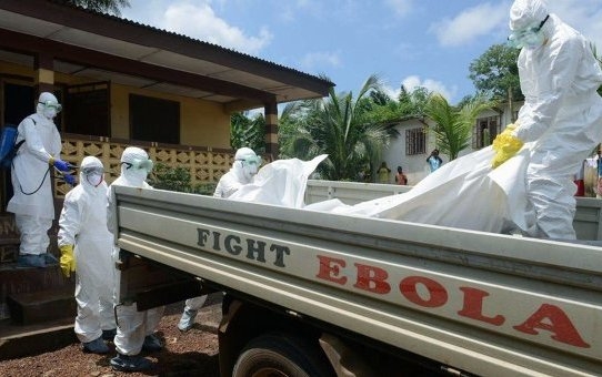 Роспотребнадзор: от вируса Эбола скончалось 340 медработников
