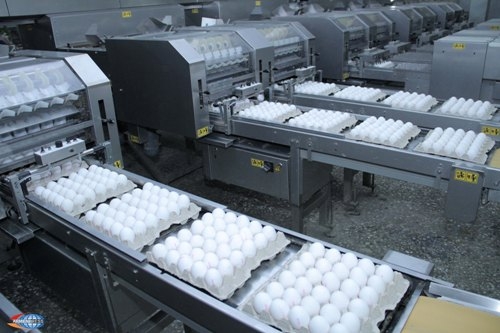 Ստեփանակերտի վաճառքի կետերում մեծ քանակի ժամկետանց ձու է հայտնաբերվել