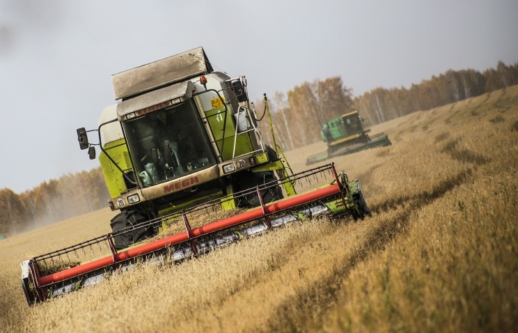 Правительство РФ ограничит экспорт зерна для предотвращения роста внутренних цен