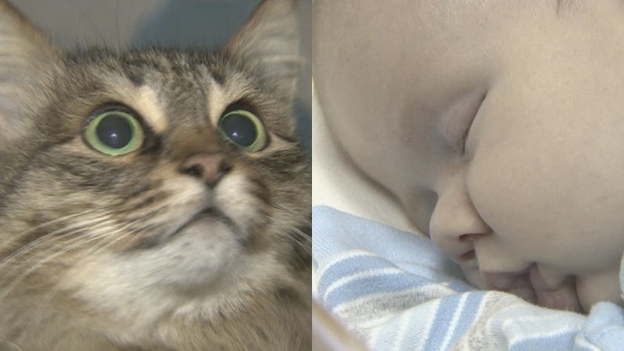 Stray cat 'saves' Russian baby abandoned in freezing hallway